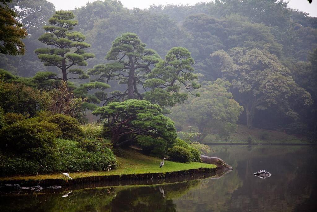 Tora Hotel Tokyo-Rikugienn 寅ホテル 六義園 C Buitenkant foto